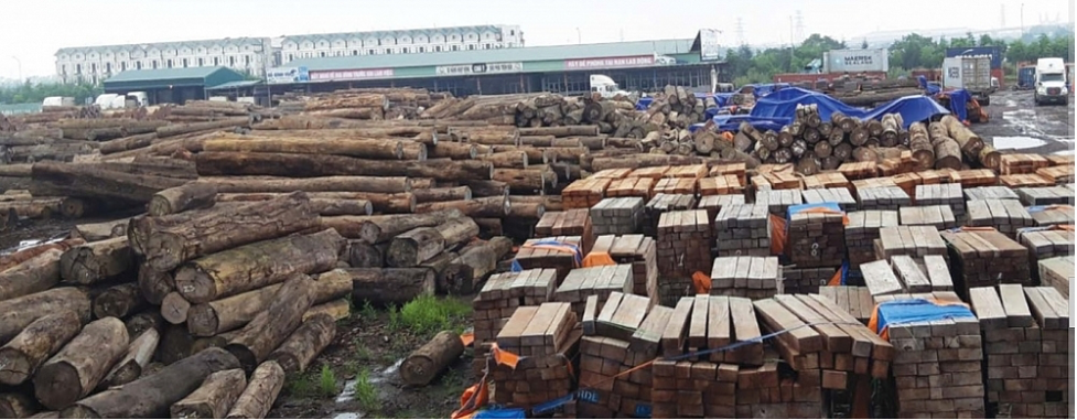 Doanh nghiệp gỗ lao đao vì chậm được CITES Việt Nam cấp giấy phép